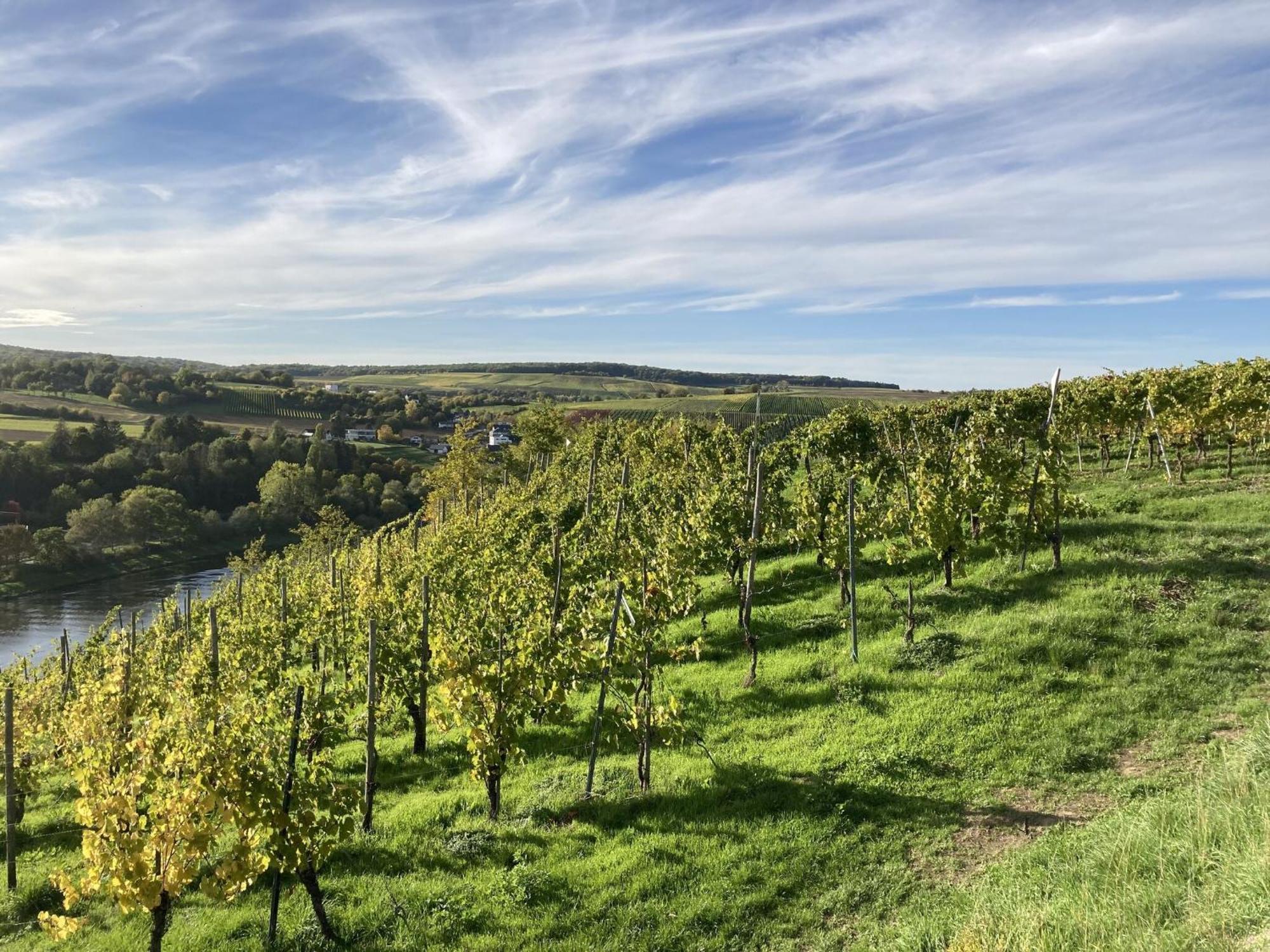 Comfortable Apartment in Ediger Eller Eifel near Town Centre Sankt Aldegund Exterior foto